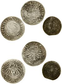 lot 3 monet, grosz 1530, Toruń - Zygmunt I Stary