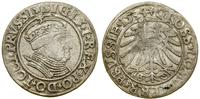 grosz 1534, Toruń, popiersie władcy w czepcu i k