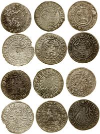 zestaw 6 monet, półgrosz, 1507, Kraków / szeląg,