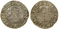 grosz 1542, Legnica, patyna, F.u.S. 1352, Kop. 4