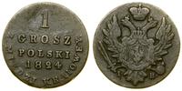 1 grosz polski z miedzi krajowej 1824 IB, Warsza