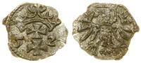 denar 1552, Gdańsk, krążek wycięty nierówno, nie