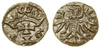 denar 1556, Gdańsk, resztki blasku pod patyną, C