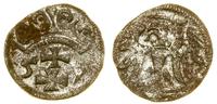 denar 1557, Gdańsk, odmiana z ozdobną koroną, pu