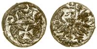 denar 1556, Elbląg, bardzo ładny, duży blask pod
