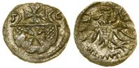 denar 1556, Elbląg, ładny blask pod patyną, CNCE