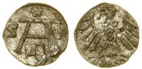 denar 1559, Królewiec, rzadki rocznik, resztki b