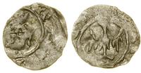Polska, denar, (lata 30-40. XIV w.)