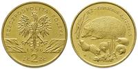 2 złote 1996, Jeż, Nordic Gold, patyna, Parchimo