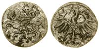 denar 1555, Wilno, miejscowa patyna, Cesnulis-Iv