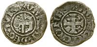 denar ok. 1109–1129, Aw: Krzyż, w którego kątach