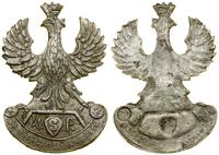 Orzeł od czapki 1918–1919, Orzeł Wojska Polskigo