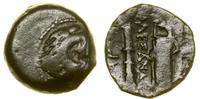 brąz ok. 336–323 pne, Aw: Głowa Heraklesa w praw