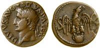 as 34–37, Rzym, Aw: Głowa cesarza w lewo, DIVVS 