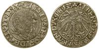 grosz 1542, Królewiec, Kop. 3784, Slg Marienburg