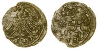 denar 1558, Wilno, niewielkie wykruszenie, Ivana