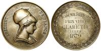 medal nagrodowy 1879, Aw: Głowa kobiety w prawo,