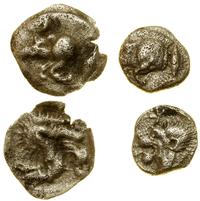 zestaw 2 monet antycznych, Myzja, Kyzikos (0.32 