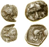 zestaw 2 monet antycznych, Pizydia, Selge (0.89 