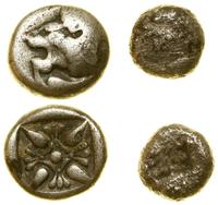 zestaw 2 monet antycznych, Jonia, Milet (1.02 g)