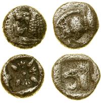 zestaw 2 monet antycznych, Jonia, Milet  (0.88 g