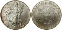 1 dolar 2009, West Point, typ Walking Liberty, s