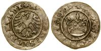 półgrosz 1509, Kraków, moneta z blaskiem mennicz