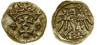 denar 1549, Gdańsk, patyna, CNG 81, Kop. 7345 (R