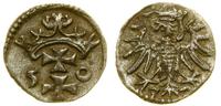 denar 1550, Gdańsk, patyna, CNG 81.II, Kop. 7346