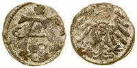 denar 1563, Królewiec, Kop. 3756 (R4), Slg Marie