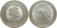 dolar 2020 P, Perth, Kangur australijski, srebro