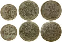 Polska, zestaw 3 monet miedzianych