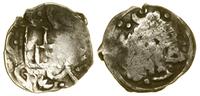 pieniądz (denar) (1425–1430), Kijów, kontramarka