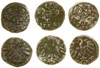 zestaw 3 denarów, 1554 i 1558 Wilno oraz 1555 Gd