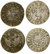 zestaw 2 monet, szeląg, 1529, Toruń / szeląg, 15