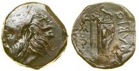 brąz ok. 310–300 pne, Aw: Głowa Borystenesa w le