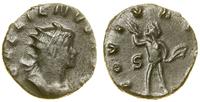 antoninian bilonowy 260–261, Rzym, Aw: Głowa ces