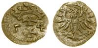 denar 1554, Gdańsk, CNG 81.VI, Kop. 7350 (R4), T