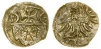 denar 1557, Elbląg, CNCE 234, Kop. 7101 (R3), Pf