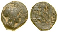 brąz (ok. 246–225 pne), Antiochia, Aw: Głowa Ate