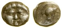 obol (ok. 350–300 pne), Aw: Głowa Gorgony na wpr