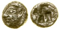 trihemiobol 510–494 pne, Aw: Głowa kobiety w lew