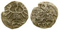 denar 1555, Wilno, wyszczerbienie krążka, patyna
