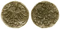 denar 1555, Wilno, patyna, Cesnulis-Ivanauskas 2