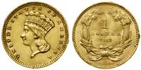 1 dolar 1862, Filadelfia, typ Indian Princess, z