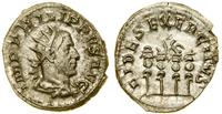 antoninian 247–249, Rzym, Aw: Głowa cesarza w ko
