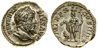 denar  205, Rzym, Aw: Głowa cesarza w wieńcu lau