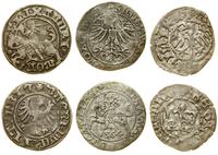 lot 3 monet, półgrosz koronny, Kraków,  Kazimier