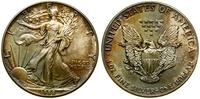 1 dolar 1988, Filadelfia, srebro próby 999, 31.1
