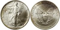 1 dolar 1995, Filadelfia, typ Walking Liberty, s